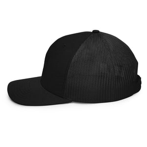 Ingenious Snapback Hat
